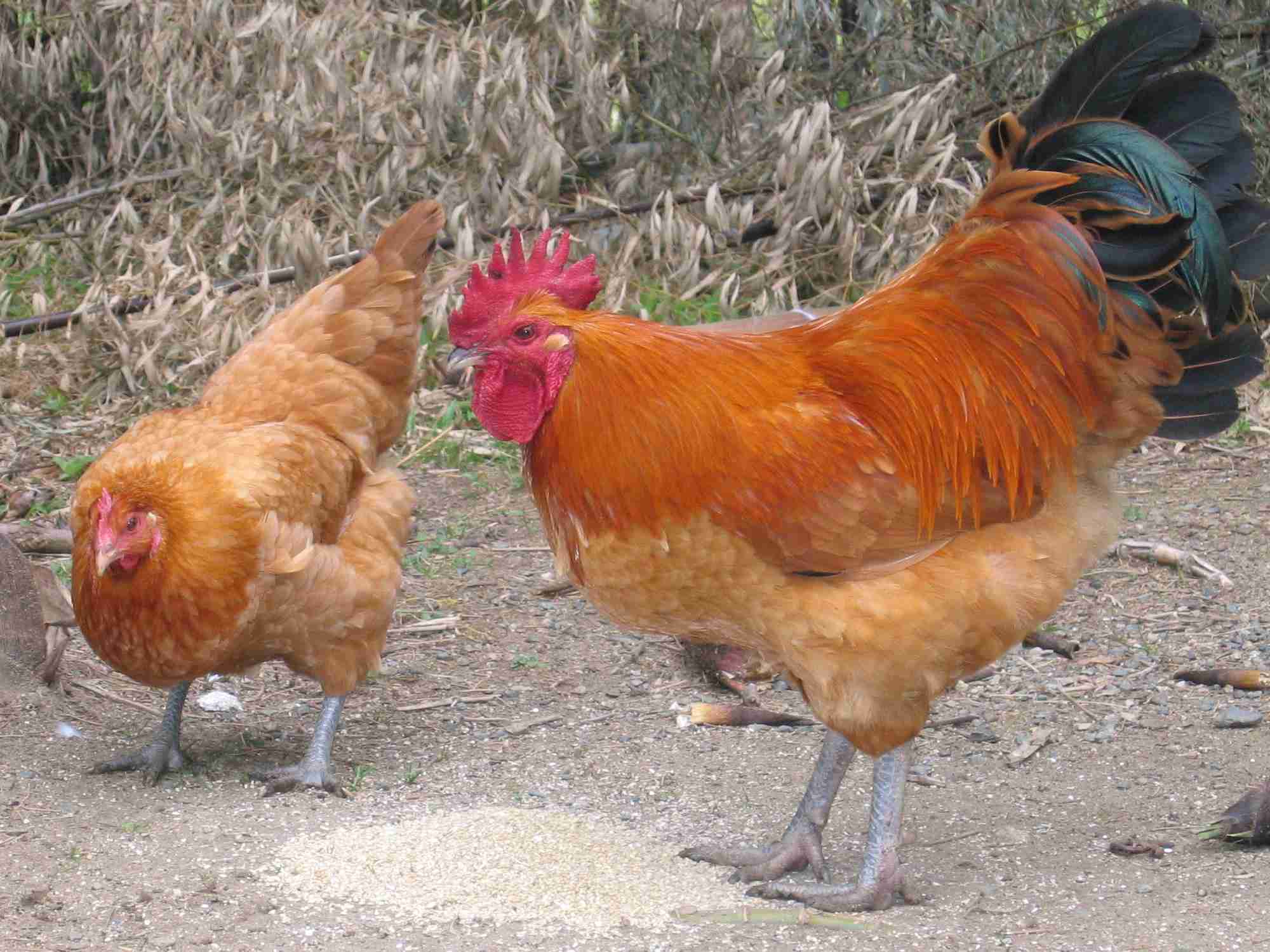 盛れた自撮りどうしてますか?