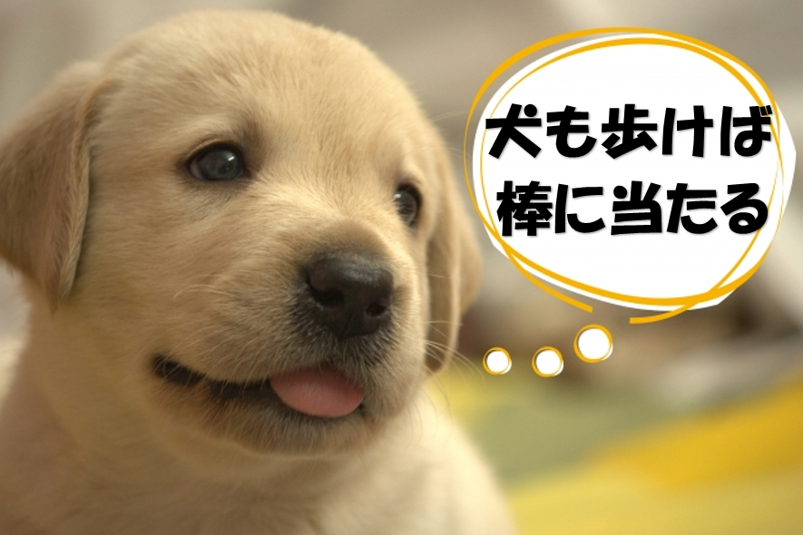 とりあえず一言放って去るトピpart2