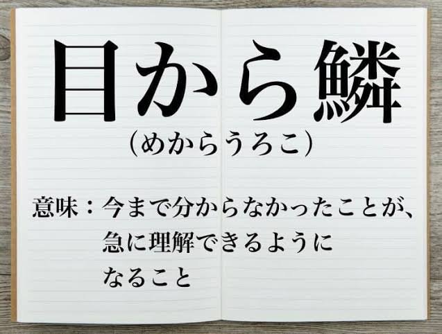 最近の目から鱗