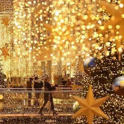 🌲クリスマスっぽい画像💫