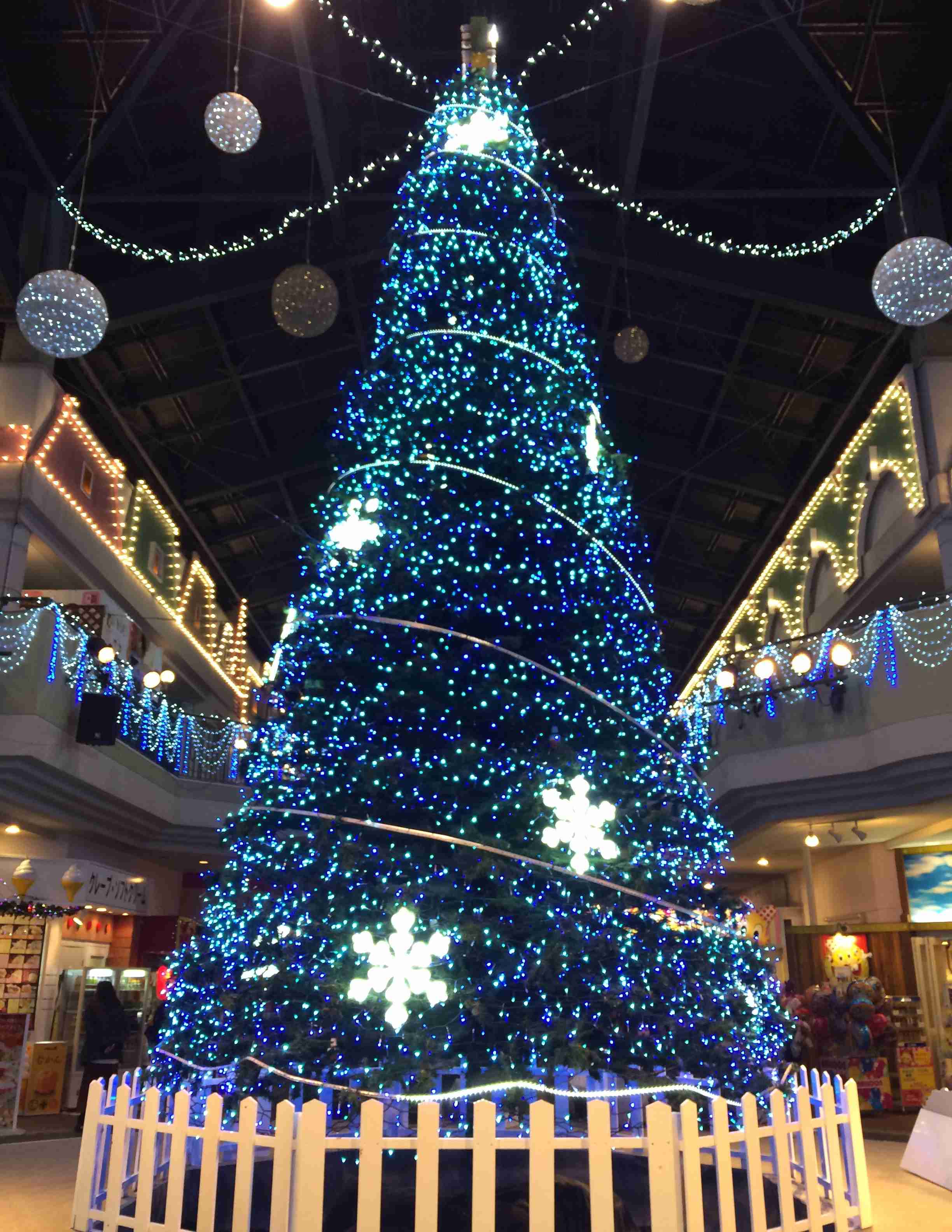 🌲クリスマスっぽい画像💫