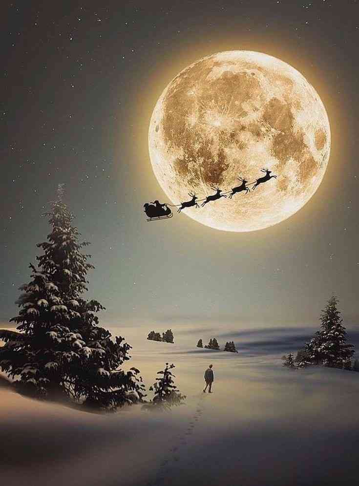 🌲クリスマスっぽい画像💫