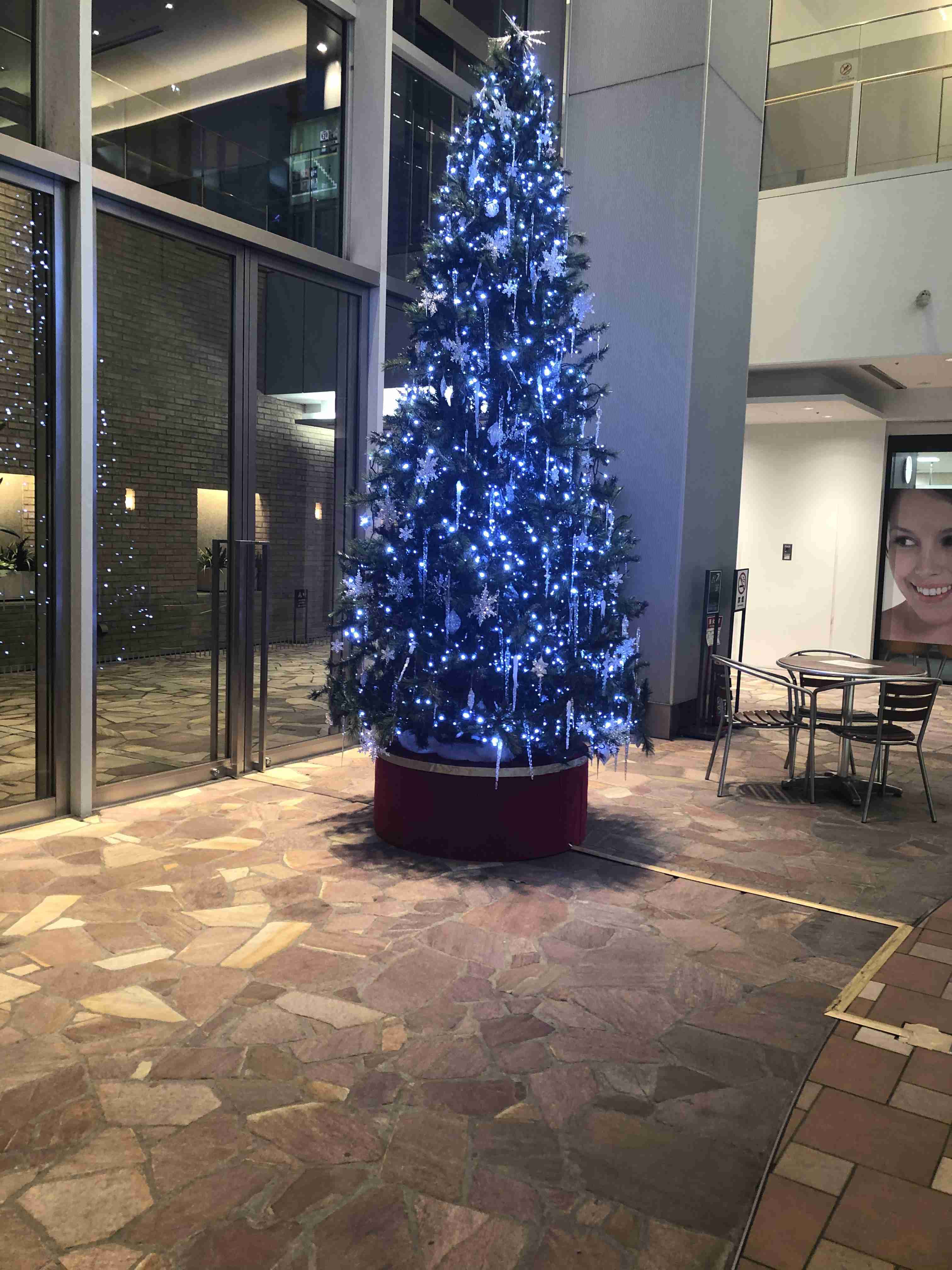 🌲クリスマスっぽい画像💫