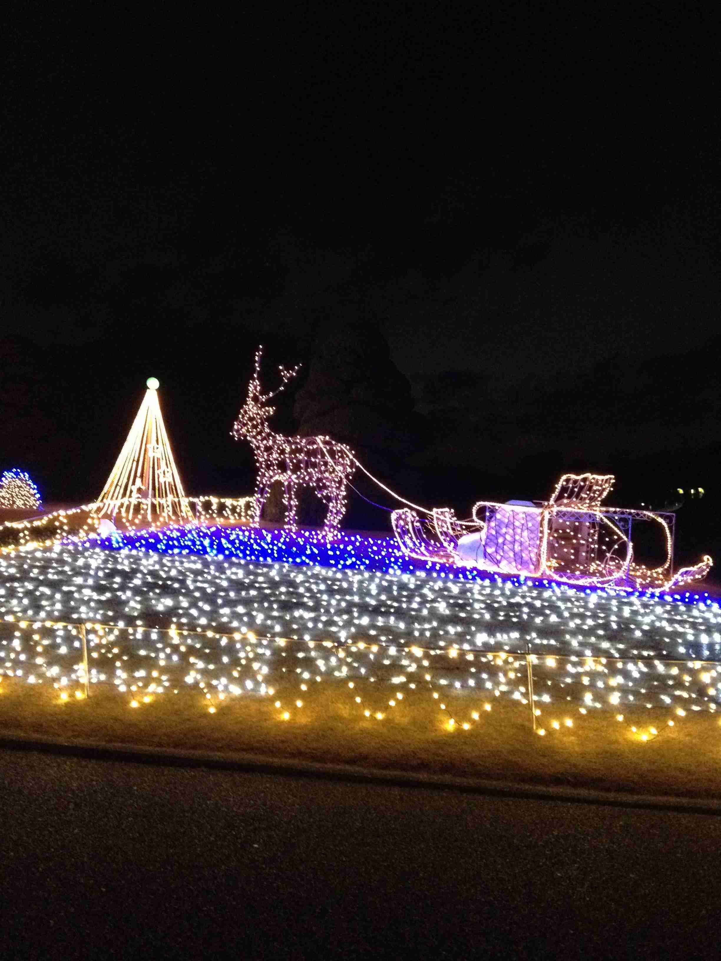 🌲クリスマスっぽい画像💫