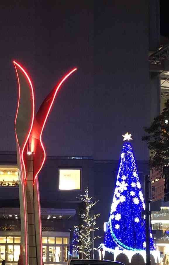 🌲クリスマスっぽい画像💫