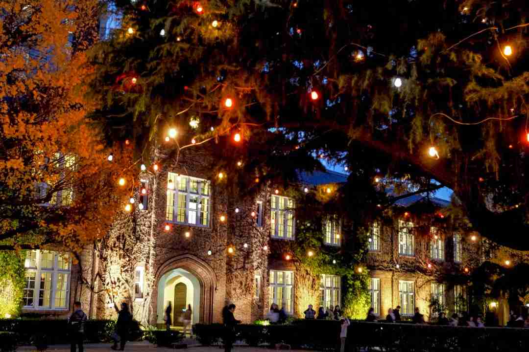 🌲クリスマスっぽい画像💫