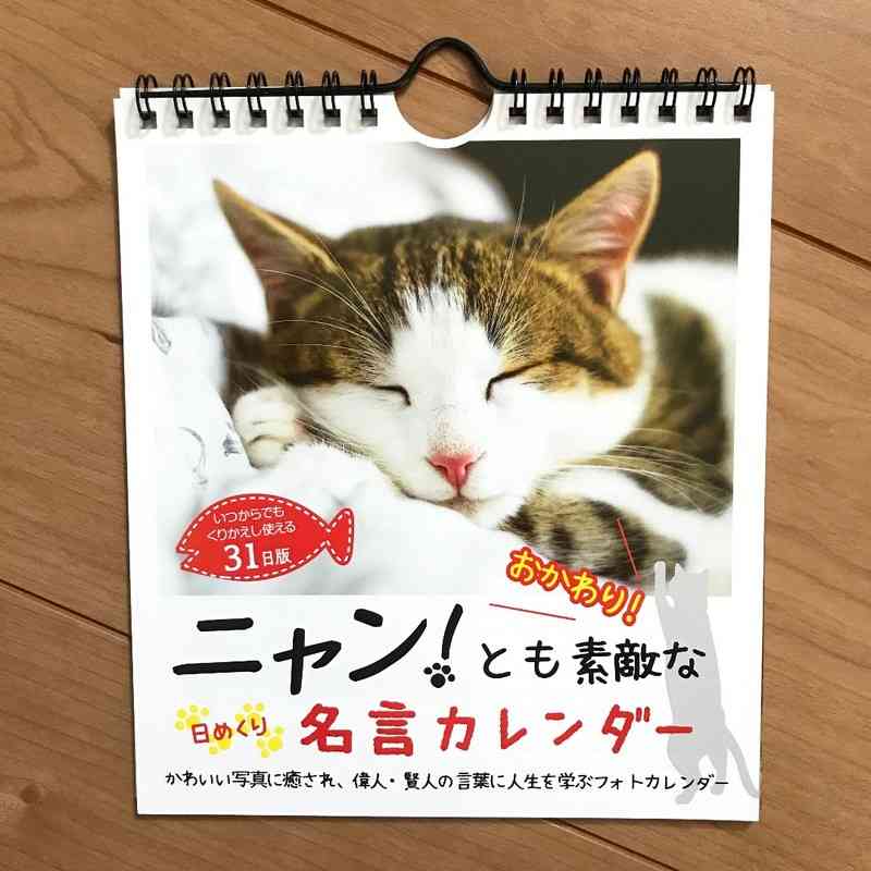 お気に入りの日めくりカレンダー