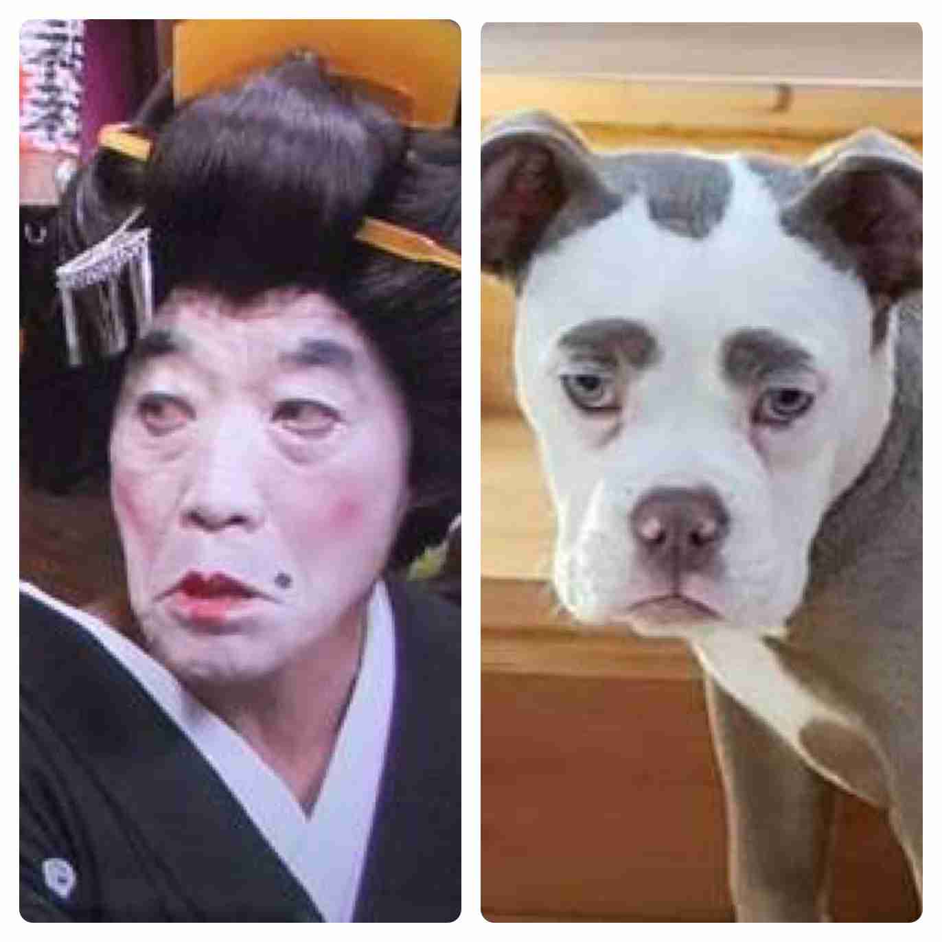 「何とも言えない表情」な画像を貼っていくトピ