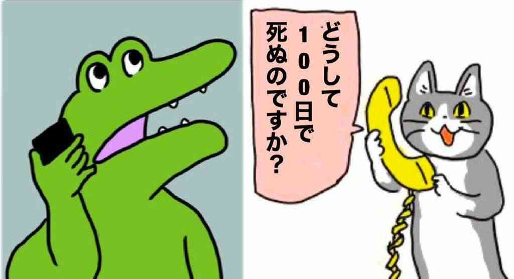 今日ネットで笑ったこと[当日限定]