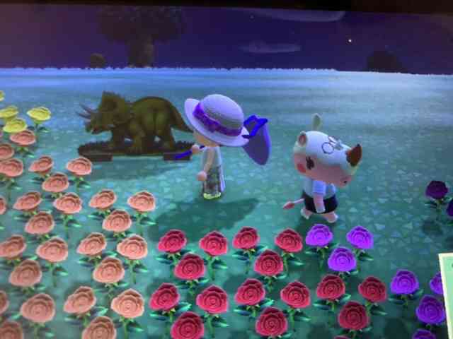 【あつ森】あつまれどうぶつの森 写真トピ part3