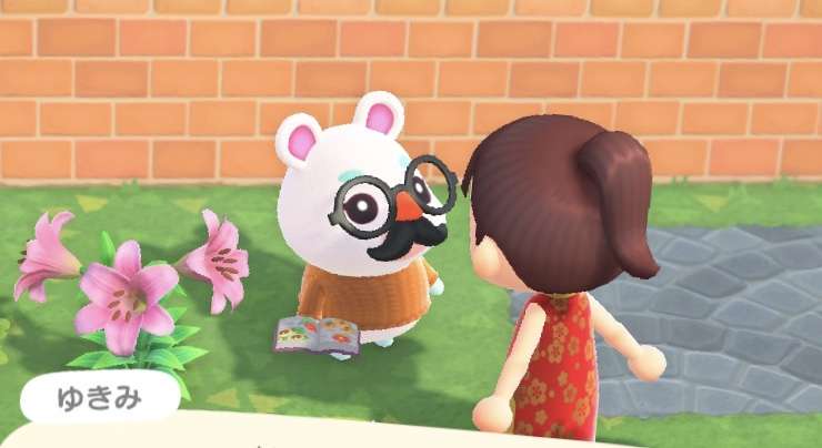 【あつ森】あつまれどうぶつの森 写真トピ part3