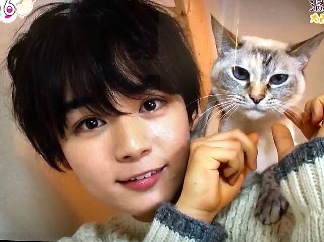 可愛い系イケメンが好きな人
