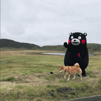 本日の終わりに柴犬を愛でるトピ