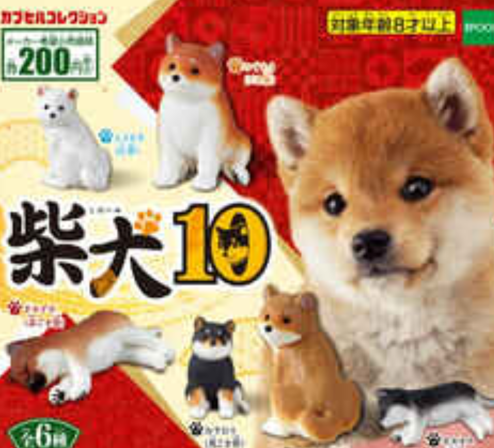 本日の終わりに柴犬を愛でるトピ
