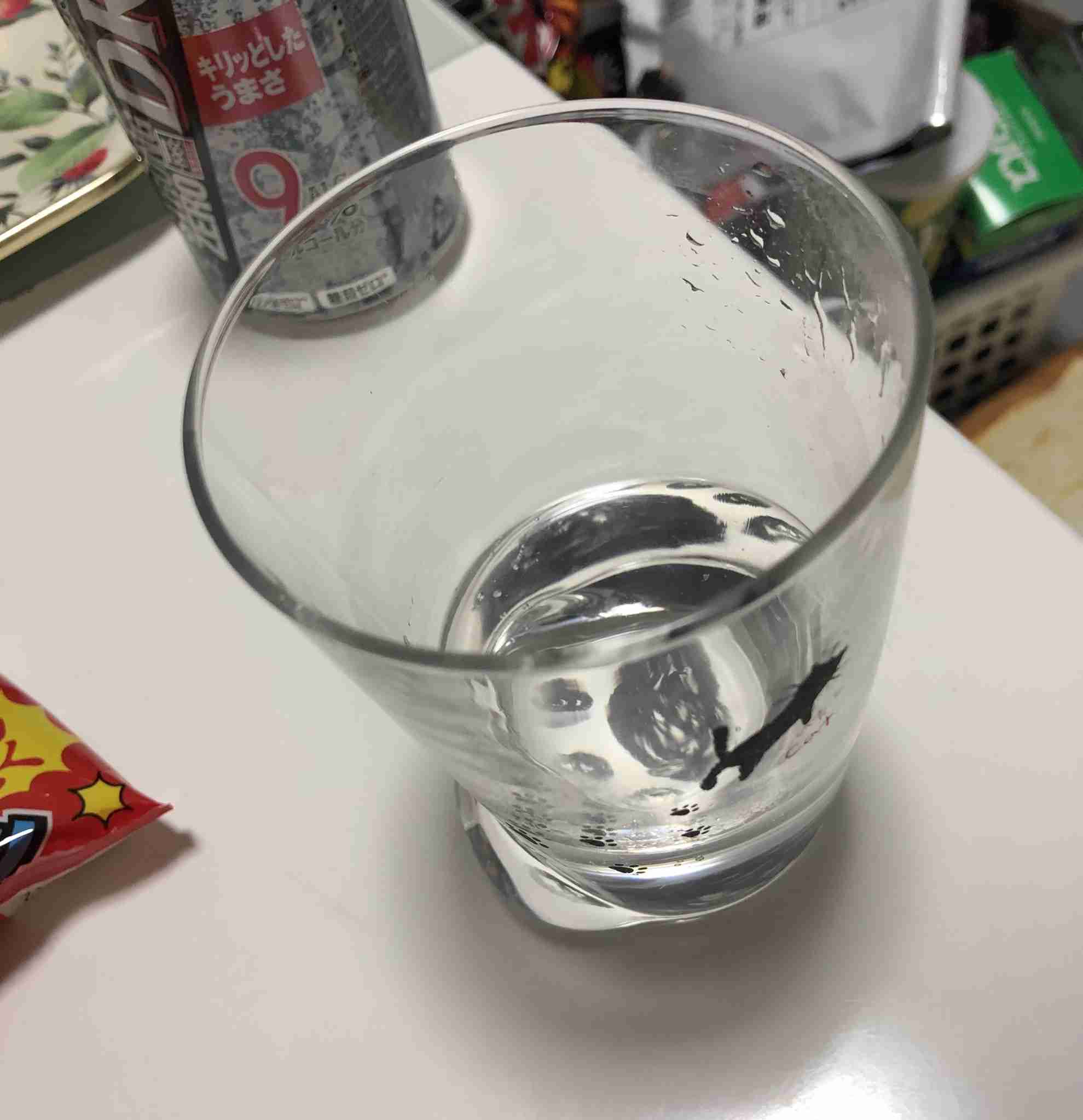 酔っ払い女子トーク