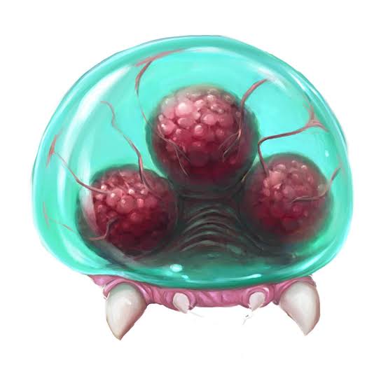 生理痛ってどんな感じの痛みですか?