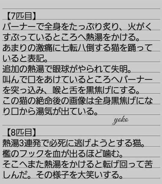 【猫好き】猫の幸せについて語るトピ【限定】