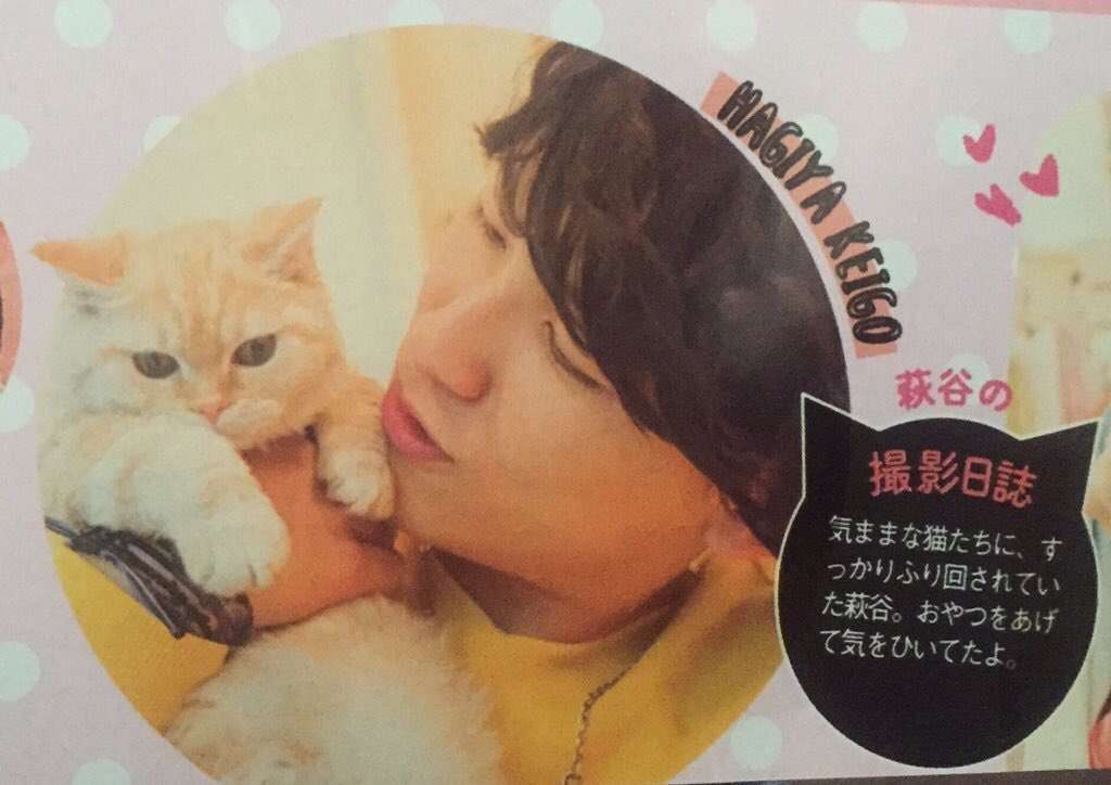 【猫好き】猫の幸せについて語るトピ【限定】