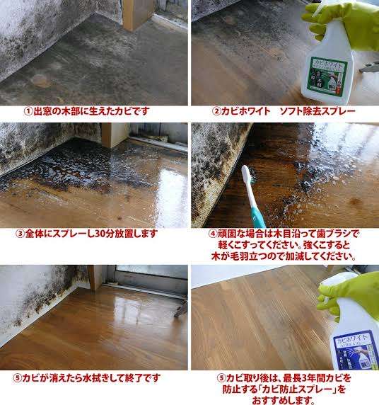 初めて買ったけどこれはリピしようと思ったもの