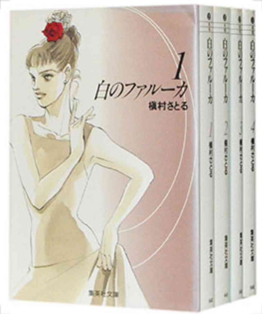 大人買いした漫画