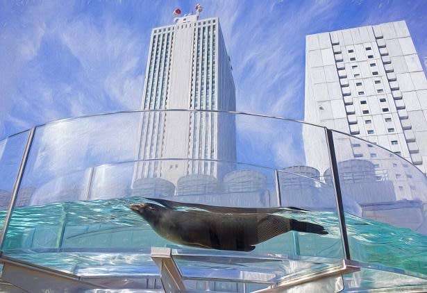 高所恐怖症激注意。2つのマンションの間に橋のようにかかる地上35メートルの透明スカイプール（イギリス）