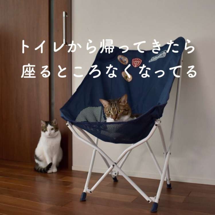 猫飼い総合トピ part3