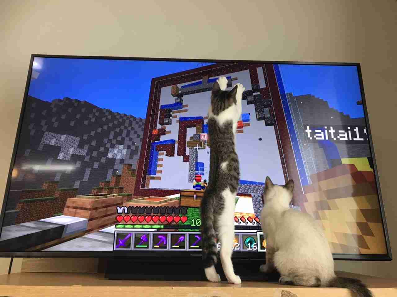 猫飼い総合トピ part3