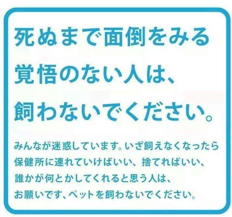 ｢猫カフェに子猫2匹を捨てた｣飼い主の無慈悲　ペットを飼う資格｢ある人･ない人｣の決定的差