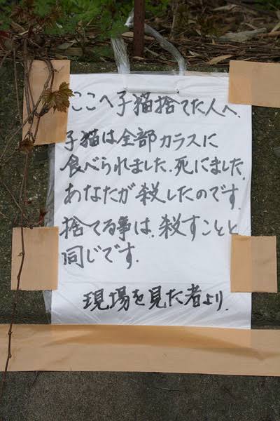 ｢猫カフェに子猫2匹を捨てた｣飼い主の無慈悲　ペットを飼う資格｢ある人･ない人｣の決定的差