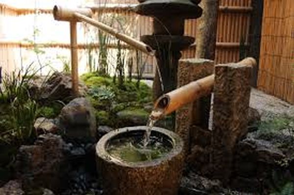 住宅街、イノシシとヤギ「お友達」 実は深刻な状況