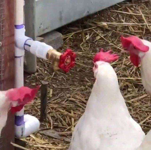 最近一番笑ったこと