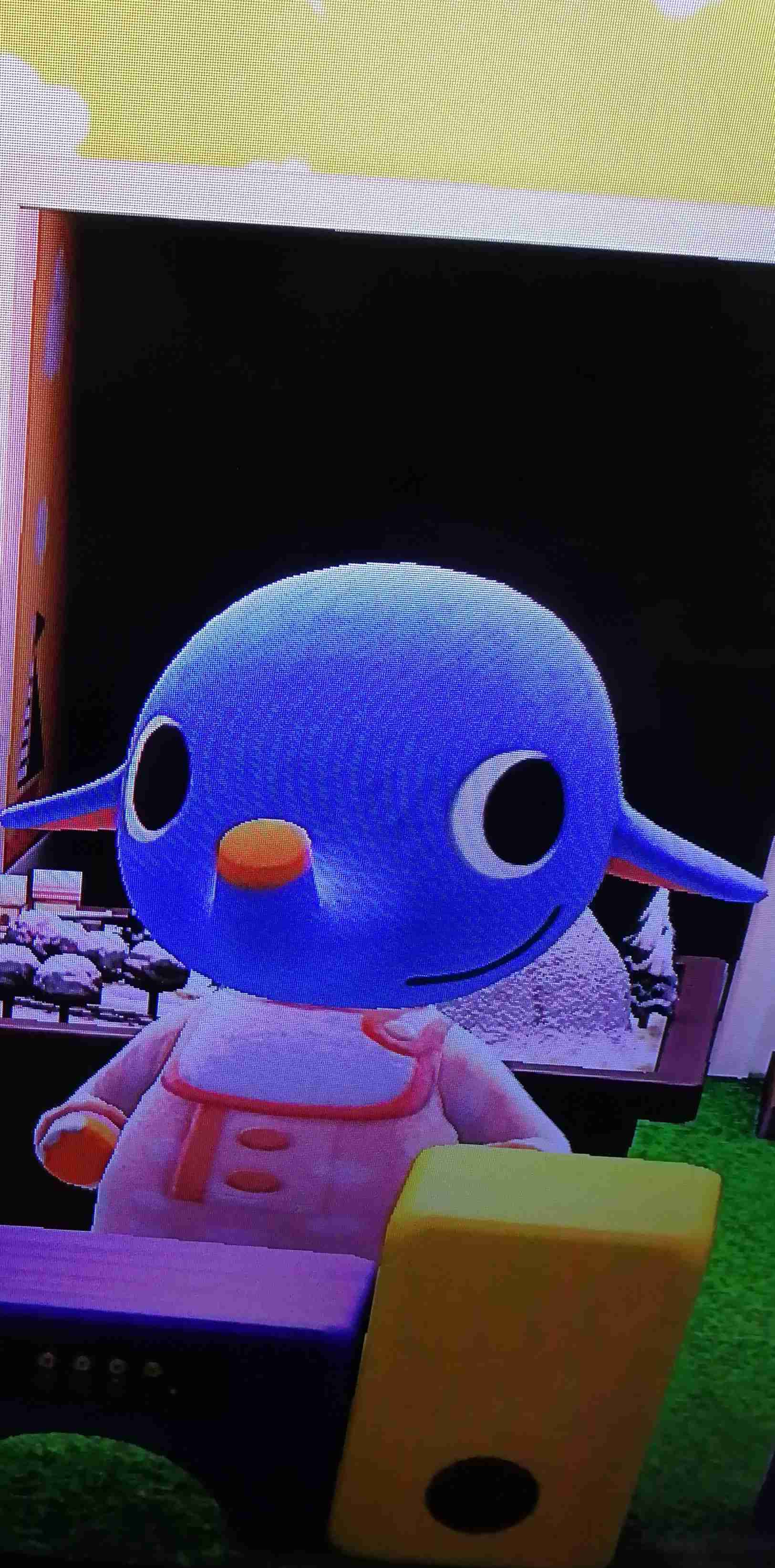 どうぶつの森(あつ森)で好きなキャラクター