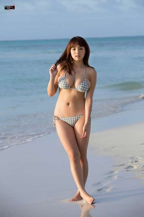 高いものと安いものの違い
