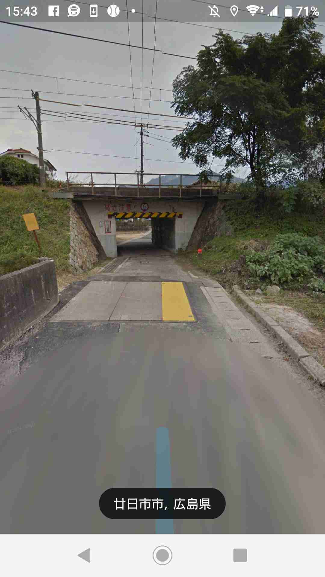 自撮りによる事故か 走行車の窓から身を乗り出した少女、電柱にぶつかり死亡(米)