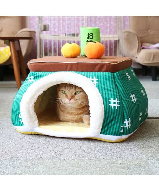 こんな冬は嫌だ（ネタ）