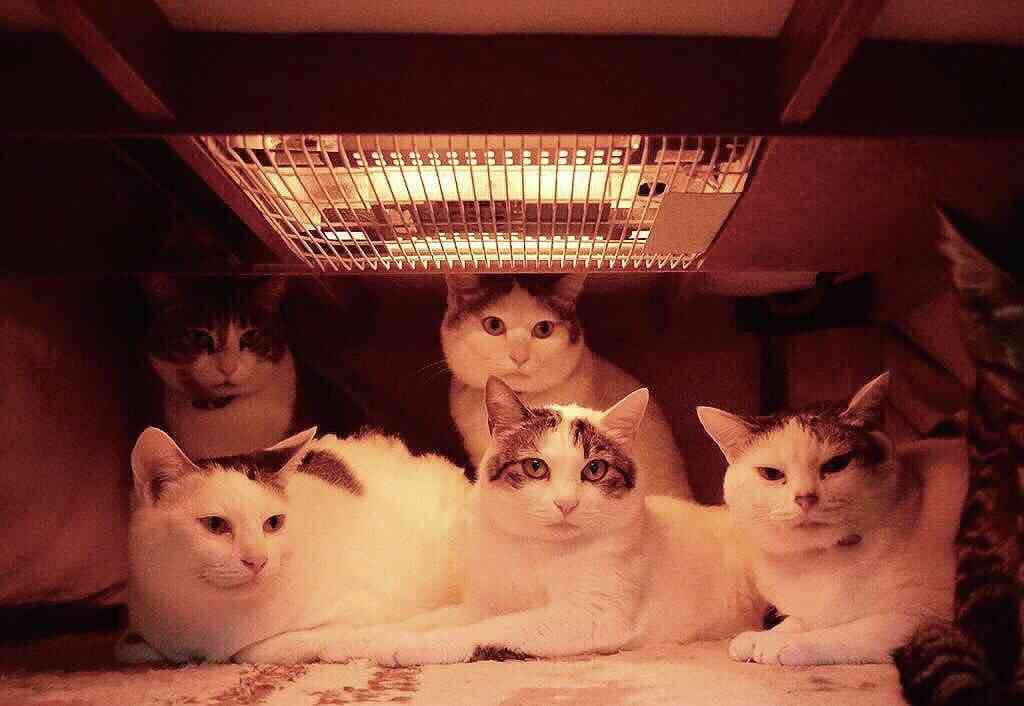 こんな冬は嫌だ（ネタ）