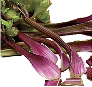 Amazonで定期購入してる物