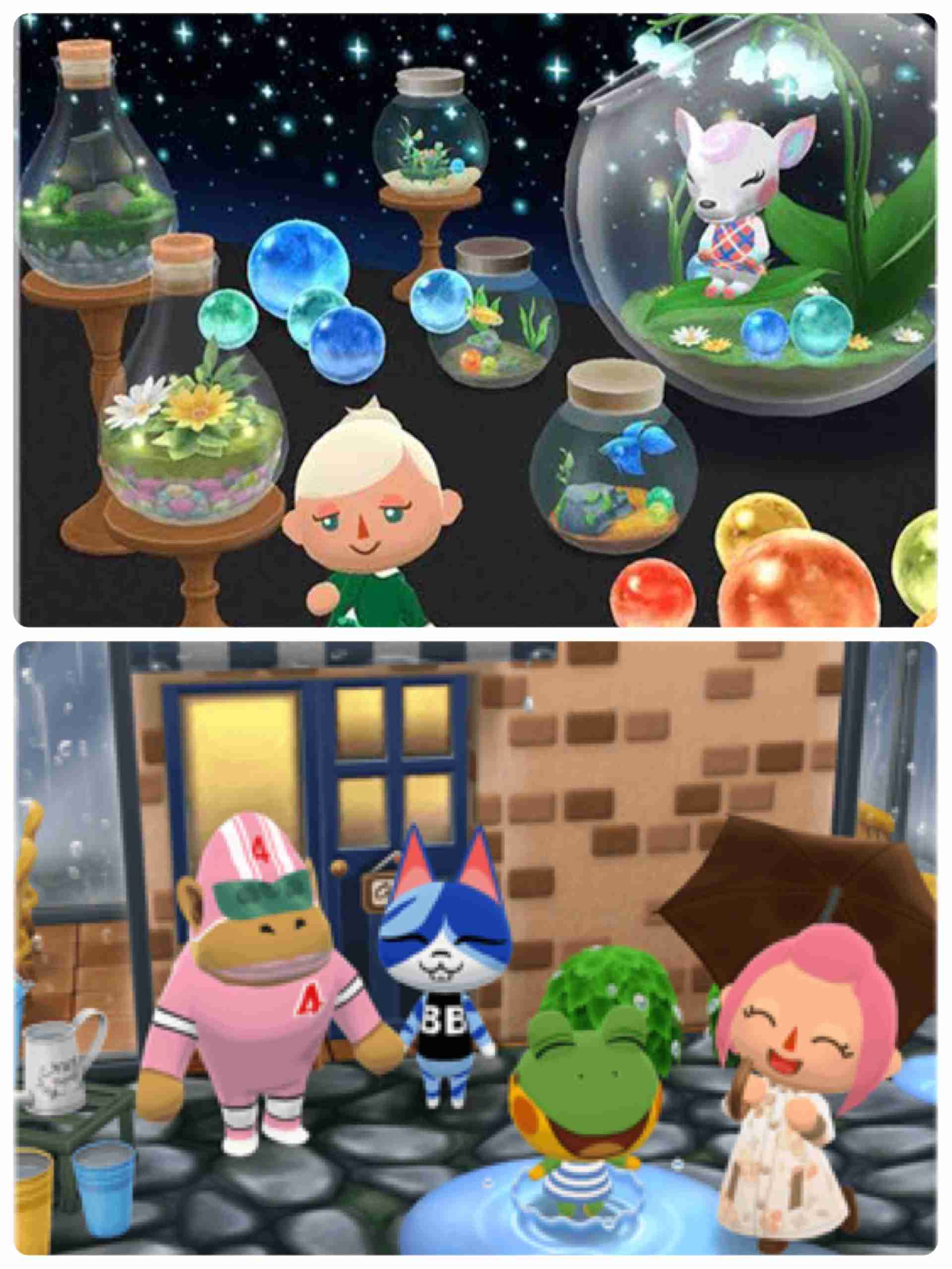 [ポケ森] どうぶつの森　ポケットキャンプ【part 36】