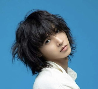 山崎賢人くんのファンの人
