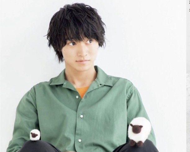 山崎賢人くんのファンの人