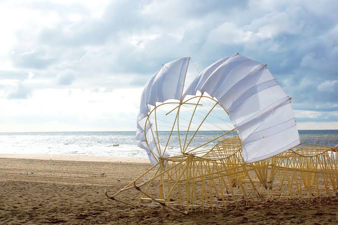 名前の由来は血を吸う妖怪「飛縁魔」　奄美沖で発見された新種