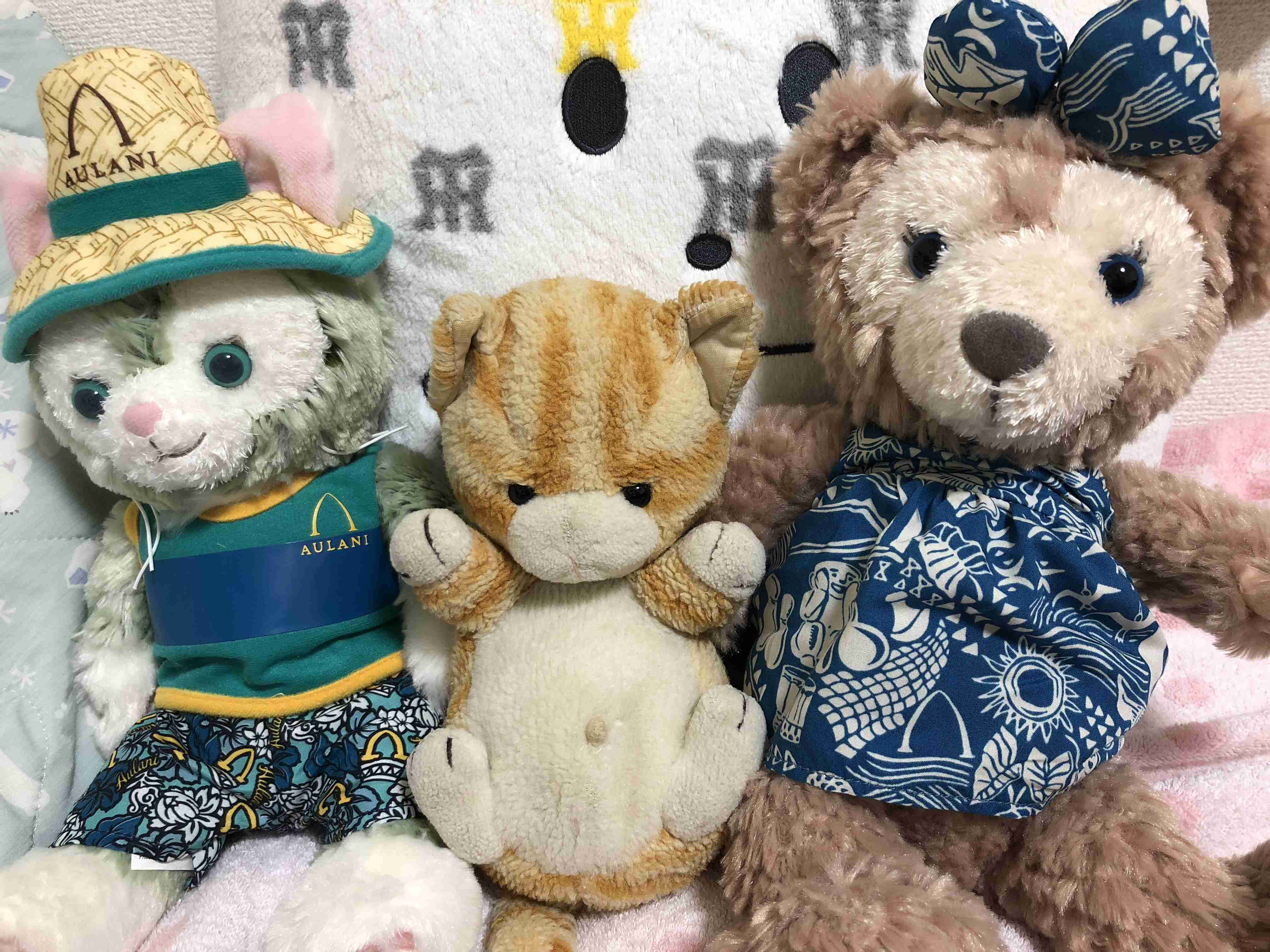 子供の頃の物で未だに持ってる物