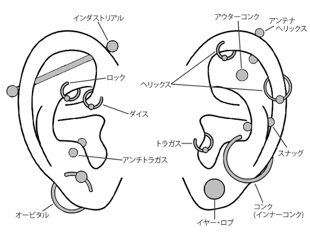 軟骨ピアス好きな人!