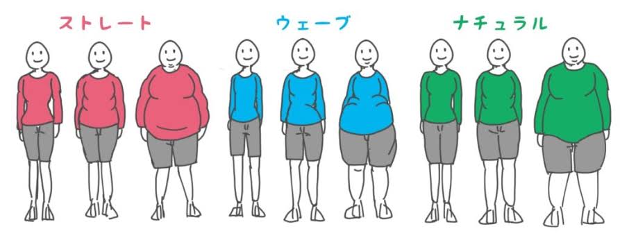骨格ストレート総合 2020年冬