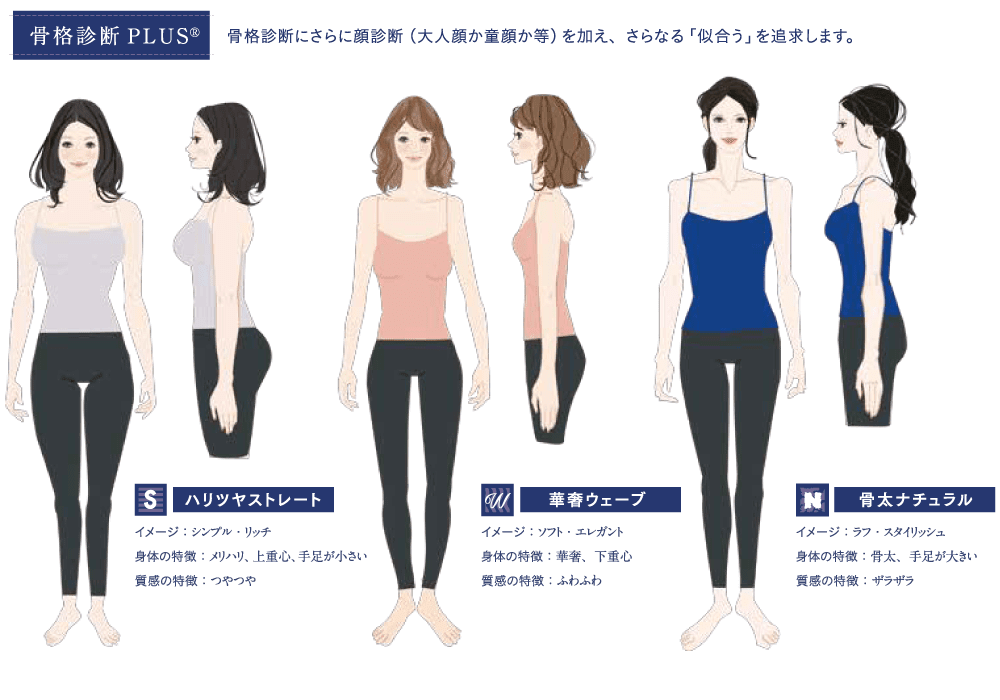 骨格ストレート総合 2020年冬