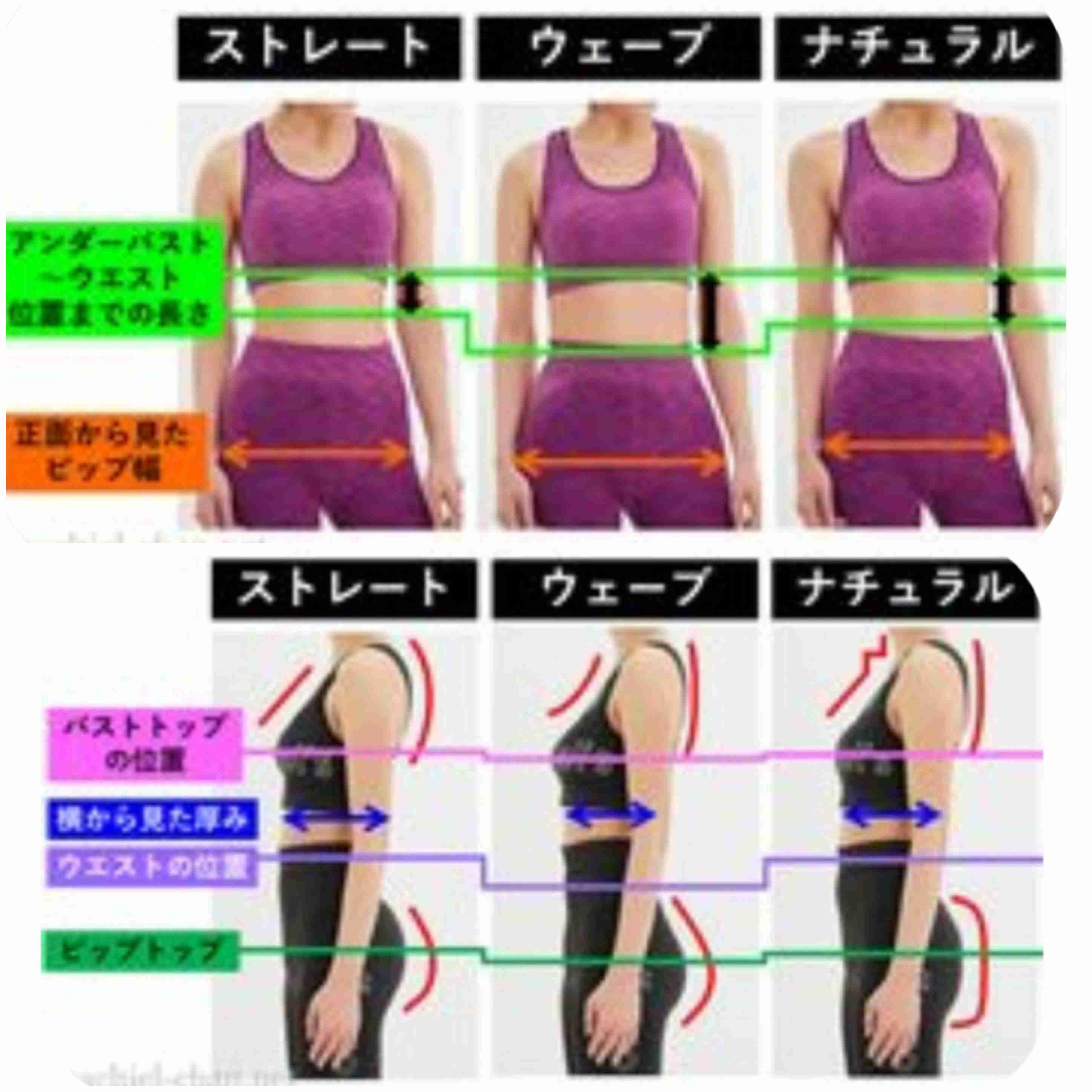 骨格ストレート総合 2020年冬