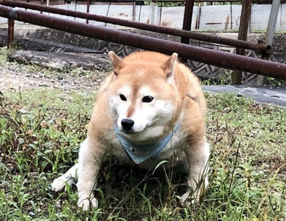 見た目で気をつけていること