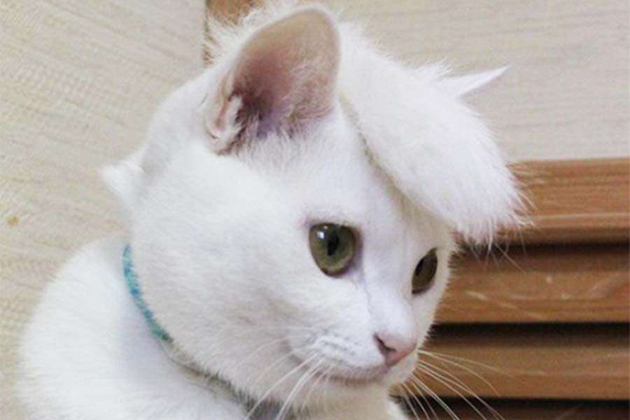 見た目で気をつけていること