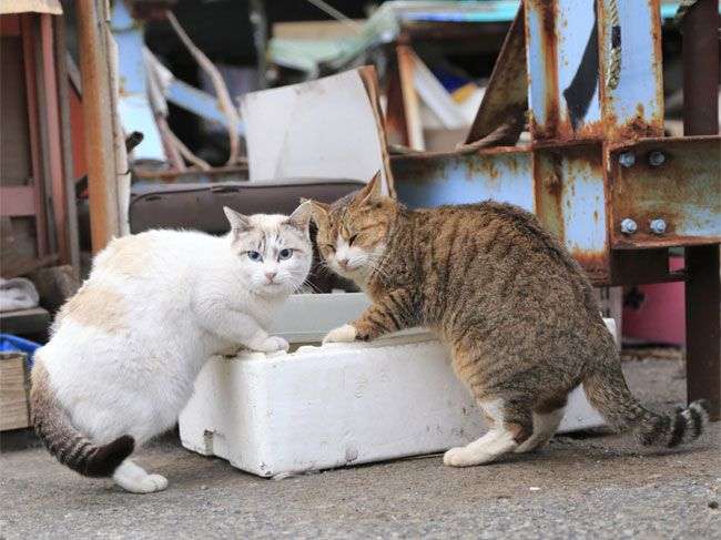 見ちゃいけない・聞いちゃいけないような気持ちになった出来事