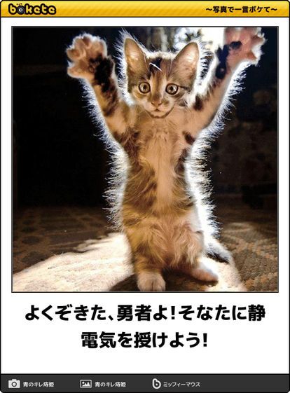 boketeで1000コメ以上を目指そう！！Part3